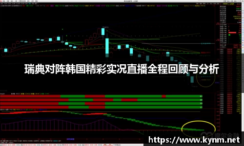 瑞典对阵韩国精彩实况直播全程回顾与分析