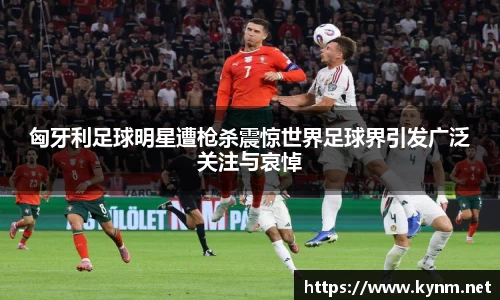匈牙利足球明星遭枪杀震惊世界足球界引发广泛关注与哀悼